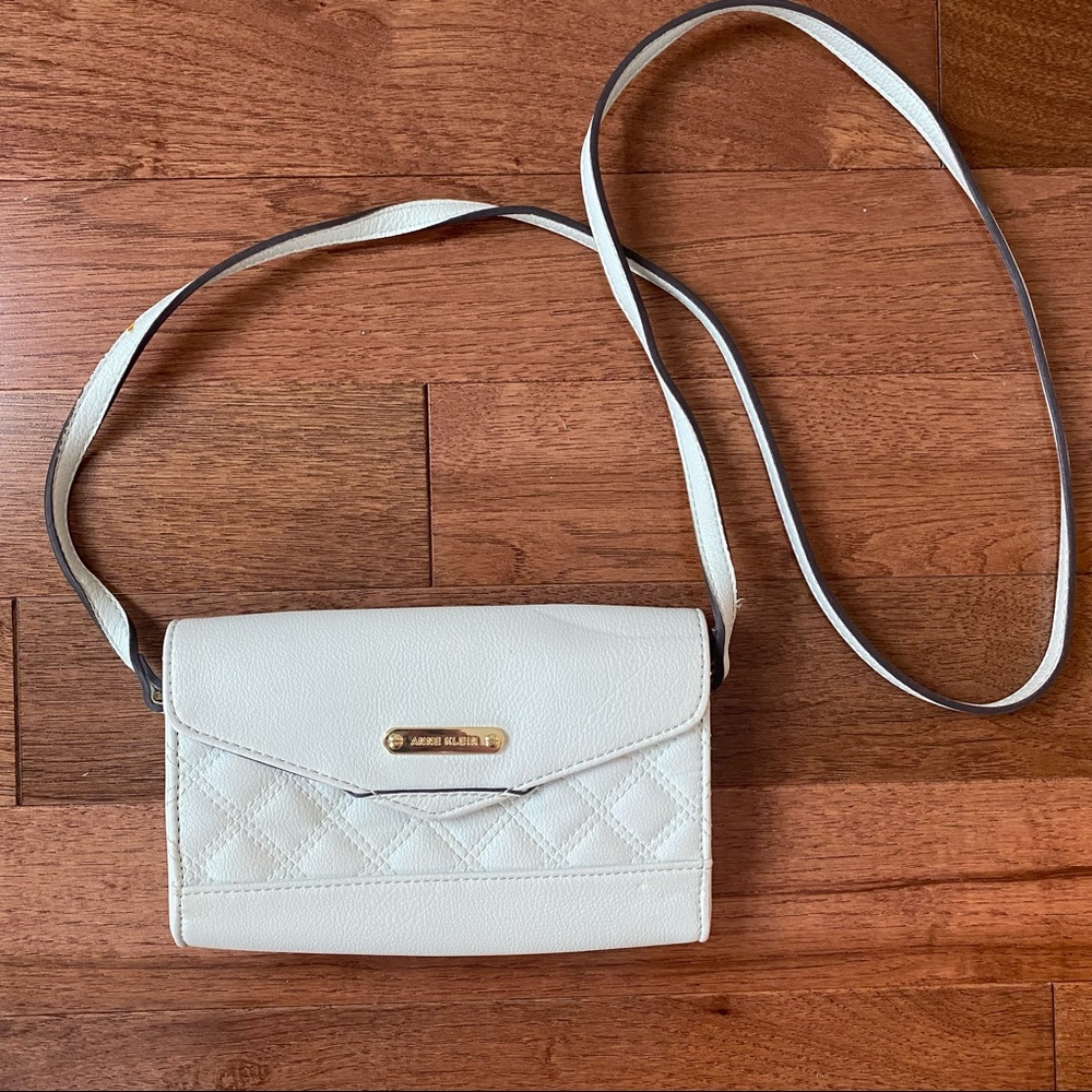 NWOT Mint colored, cross body Anne Klein bag